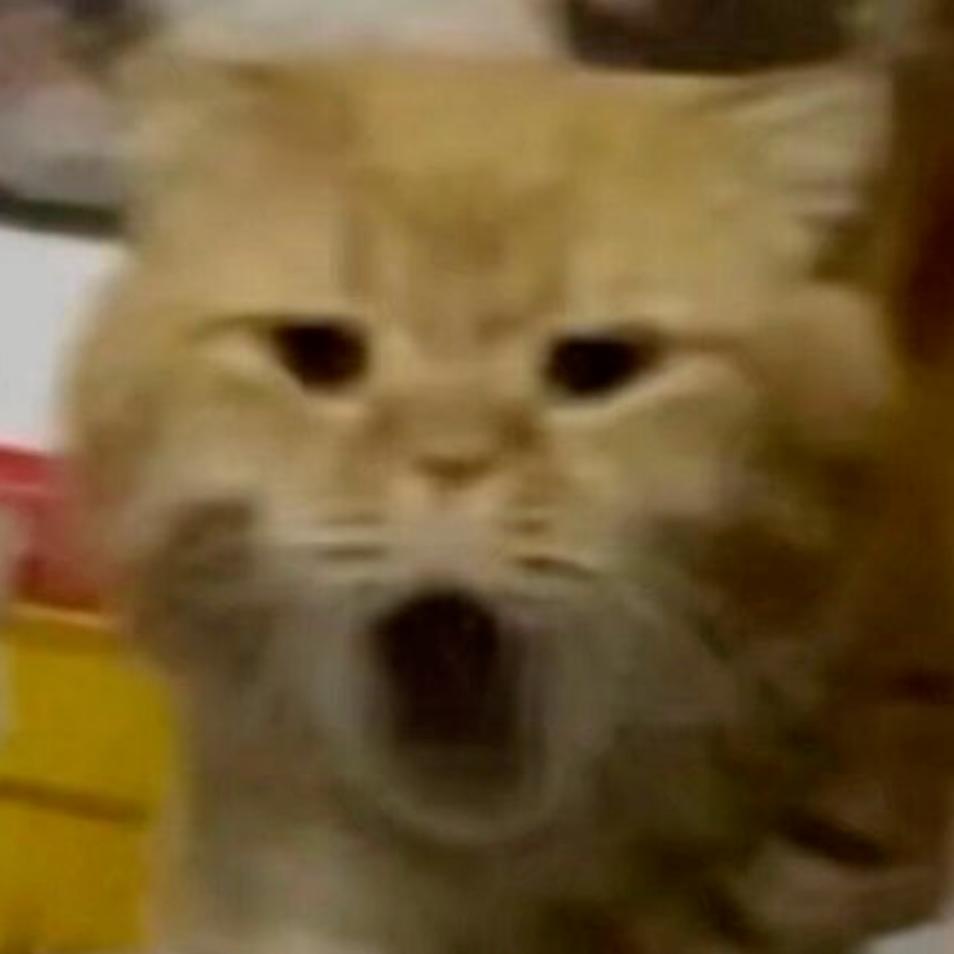 网易云音乐有什么听不了的,网易云音乐不能听到声音