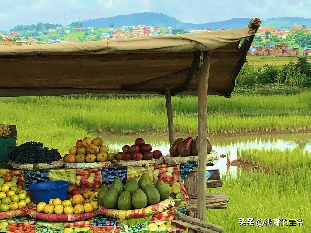 身处非洲，物种孤立进化的马达加斯加，各种奇瓜异果满岛飘香