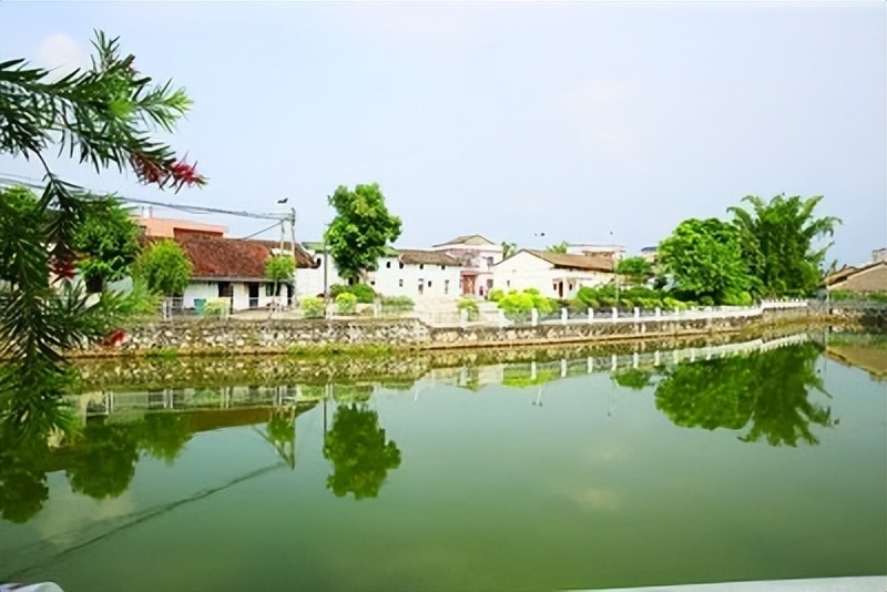 多元共治生态治理模式,多元共治的生态治理模式