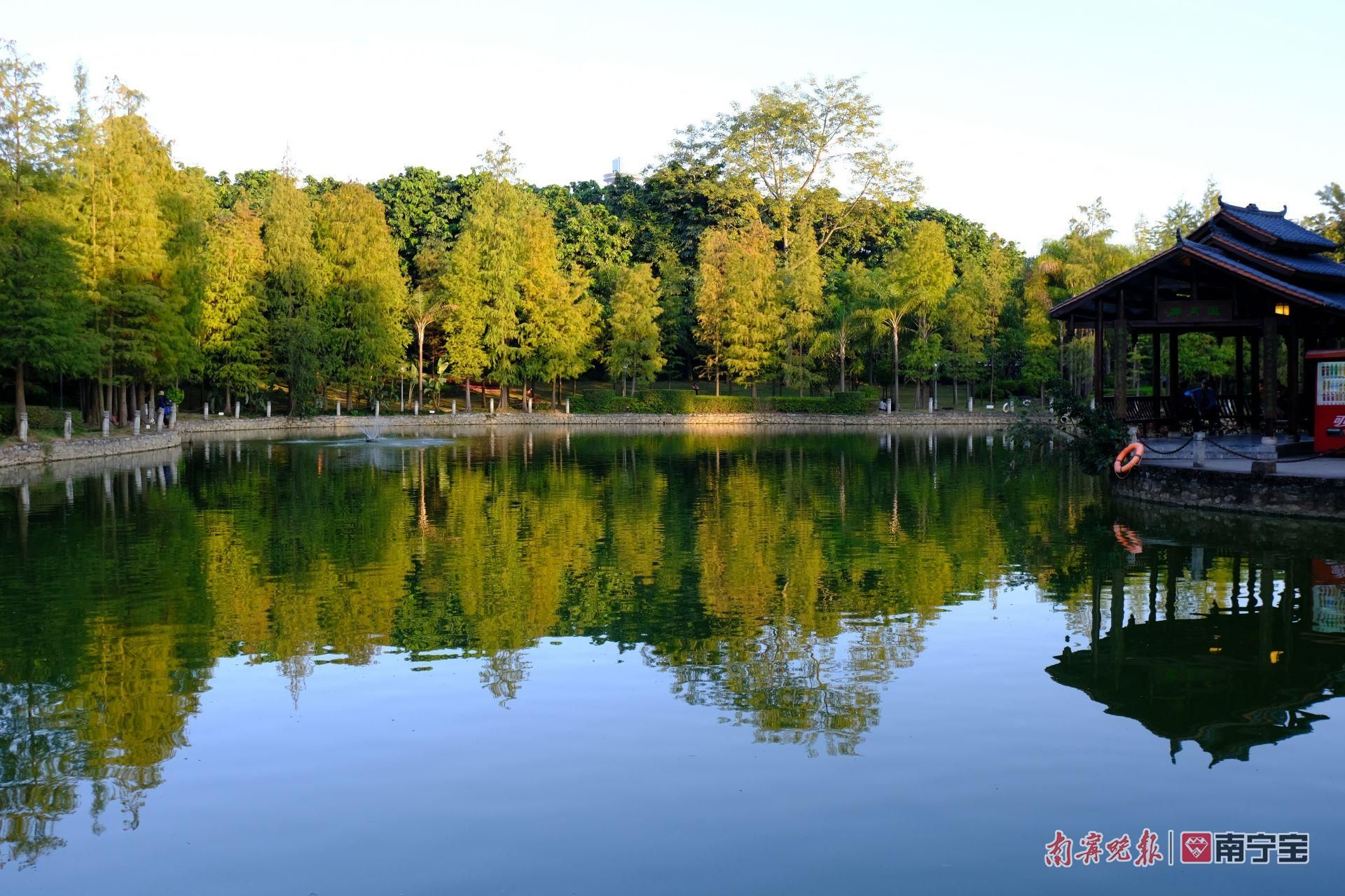 南宁小众打卡地青秀区,南宁必打卡的十个地方