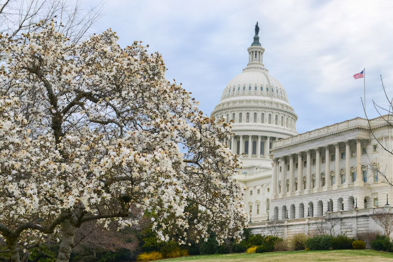 2021年值得读的50本书,2022年分享50本书