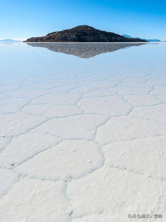 藏格矿业与天齐锂业谁更值得投资,藏格矿业最新走势分析视频