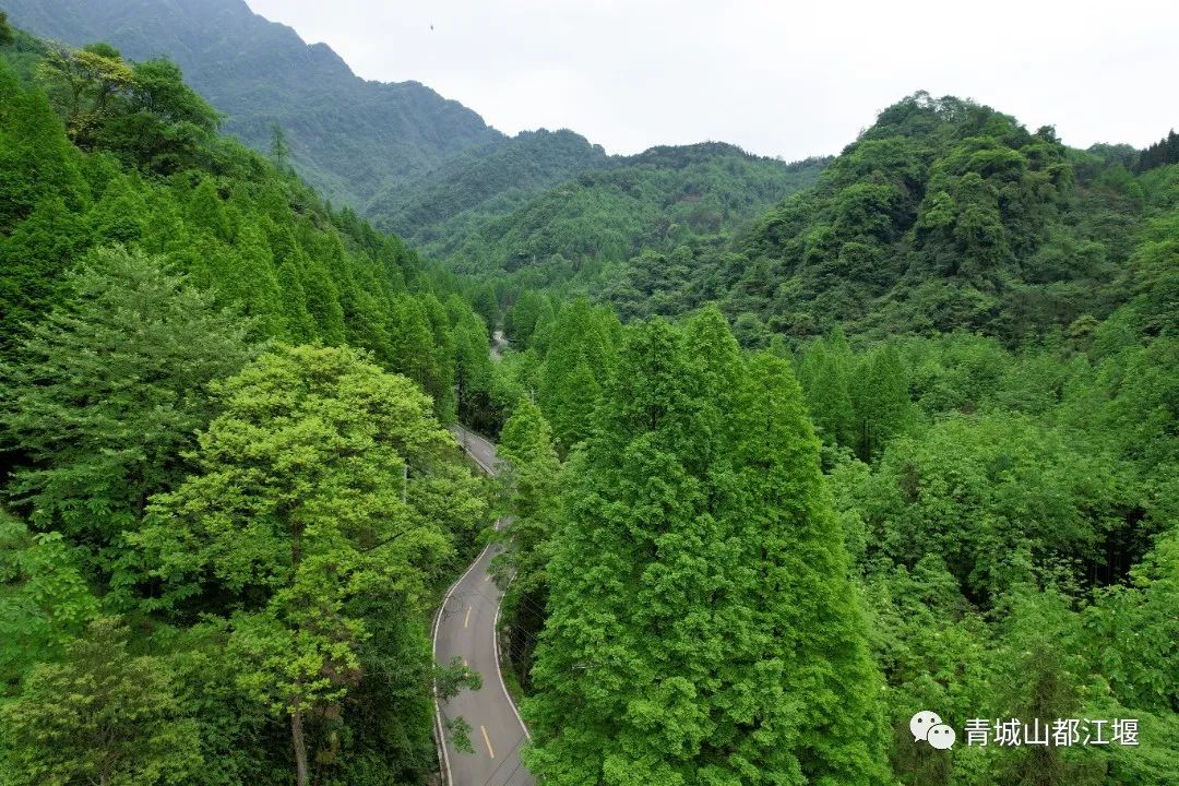 来都江堰的山间溪畔赴一场“好食光”！青山间的火锅店、花园里的小食堂......赏景美食两不误~
