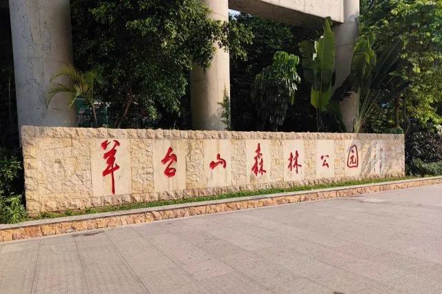 宝安打造海滨城市,宝安中心区发展规划