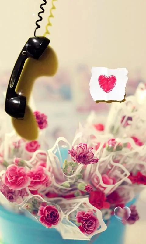 康乃馨花束壁纸,康乃馨壁纸手机超清全面屏