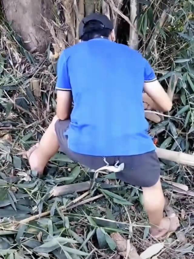 男子上山砍竹笋，没想到带了只壁虎回家，邻居感叹：这叫虎虎生威