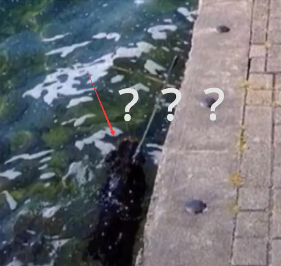 后面那个人咋了?忘记带脑袋了?,那些让人笑到肚子疼的搞笑图片