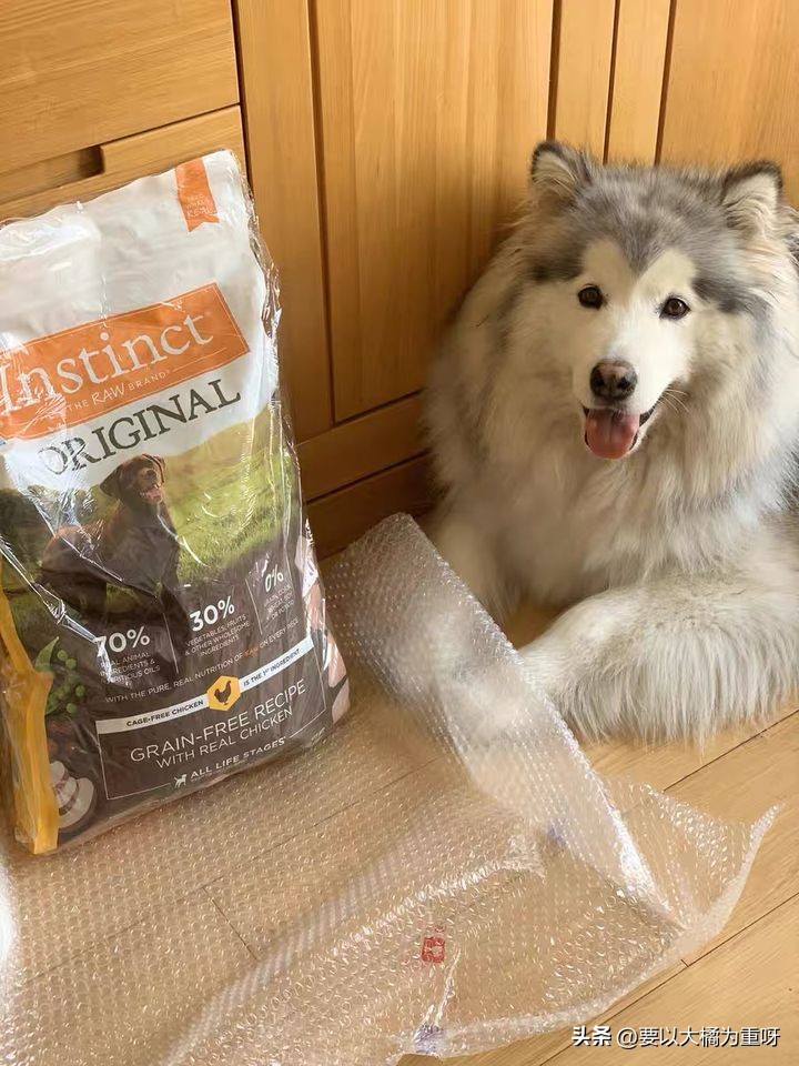 8款热门狗粮测评怎么样,高性价比狗粮测评狗粮选择攻略