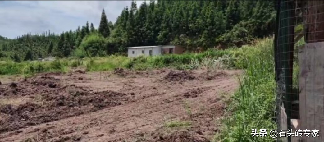 专门养狗赚钱吗,农村人养狗