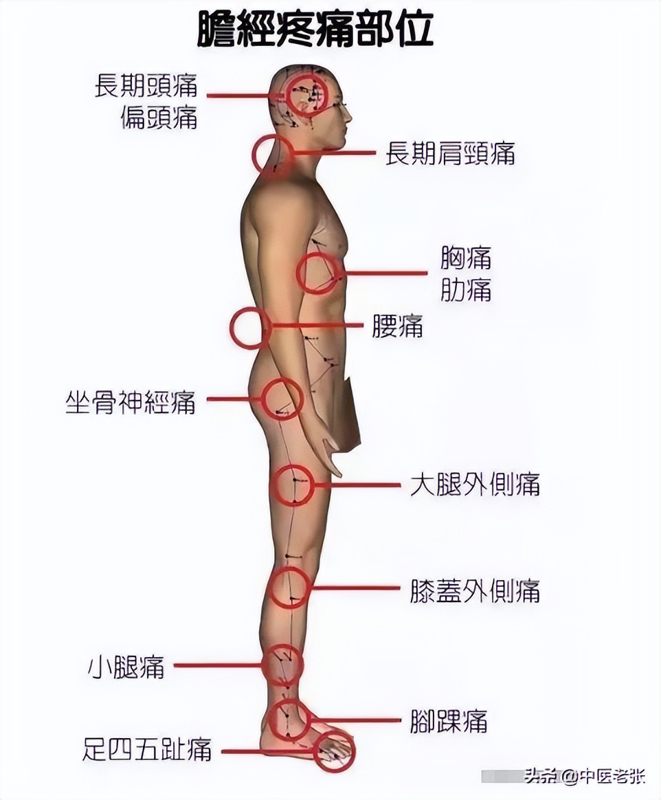五脏六腑疼痛区高清图对照,人体五脏六腑疼痛区