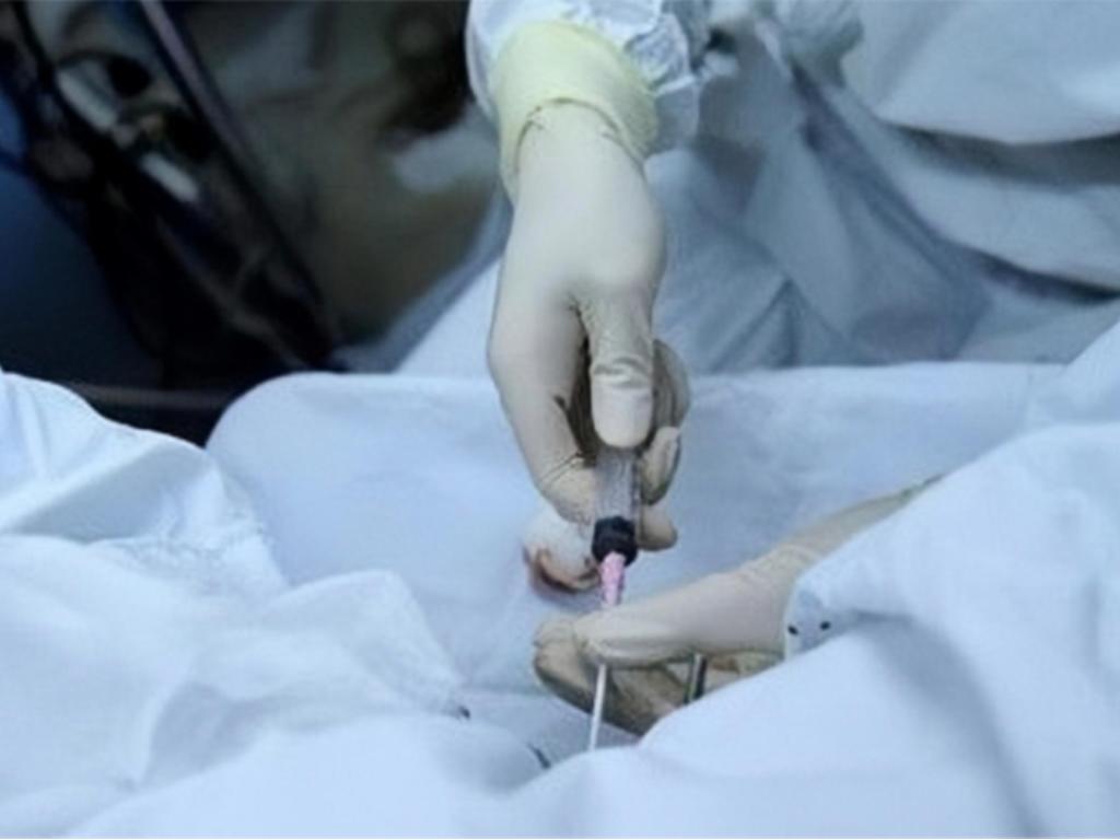 女生每个月都有卵子排出,不用浪费不如把它卖了。这是真的吗?