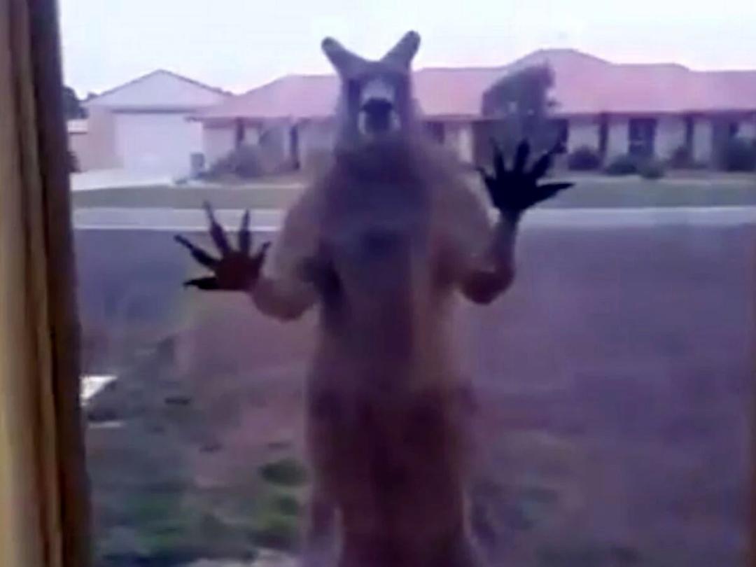 租房选到这层楼，人间第一冤大头