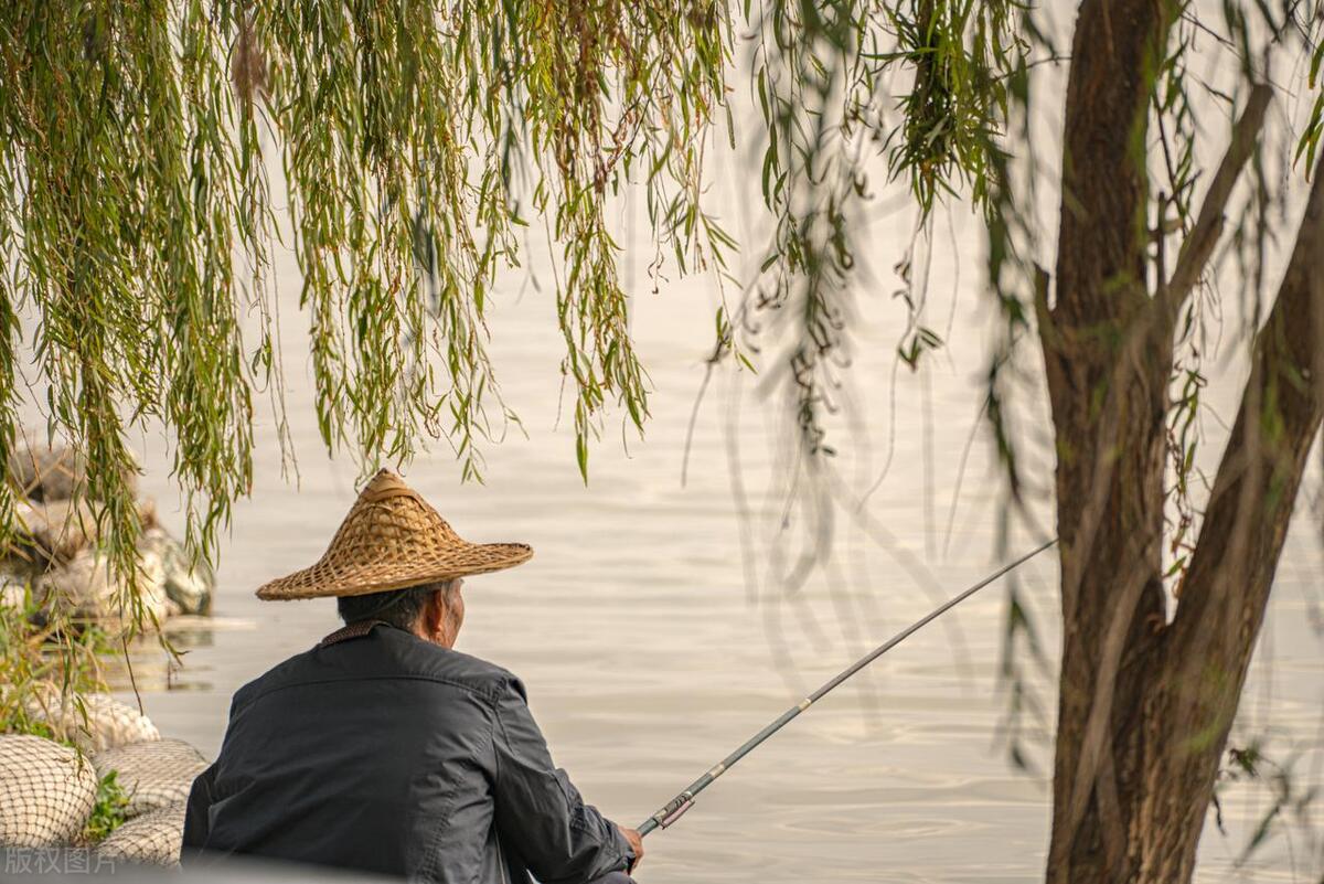春季钓鱼不开口怎么办视频,春钓不开口怎么办