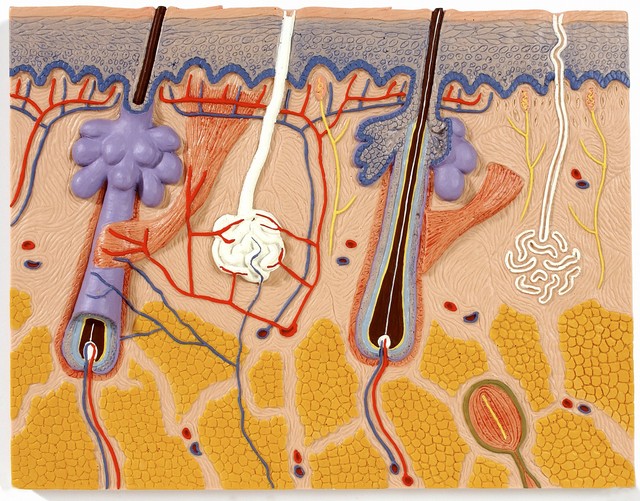 虽然大家都害羞不说，但是裸睡是真的很爽好处又多！