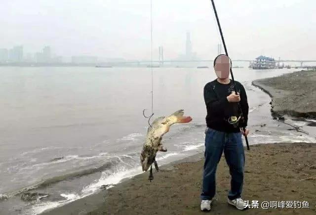 骆马湖钓鱼怎么样了,现在骆马湖钓鱼情况怎么样