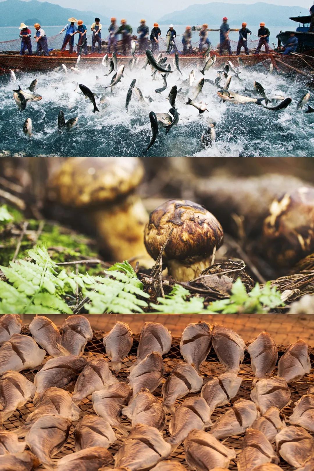 鲜味是个什么味道,鲜味到底是什么东西