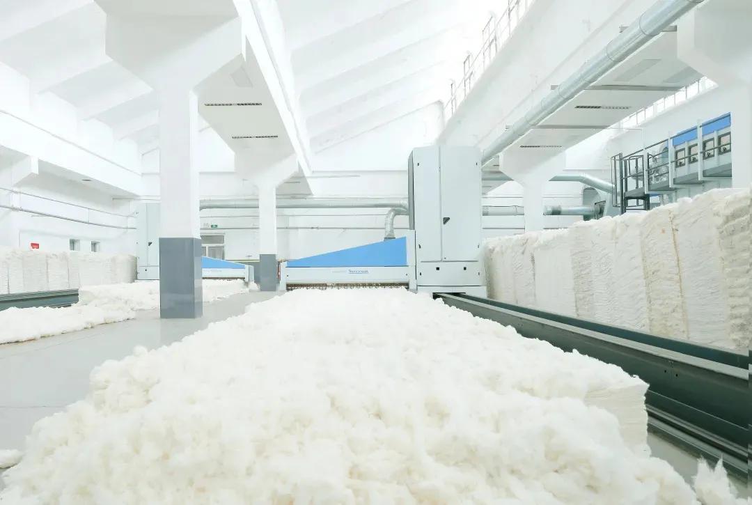 为什么纯棉的毛巾容易破,纯棉的毛巾会掉毛吗