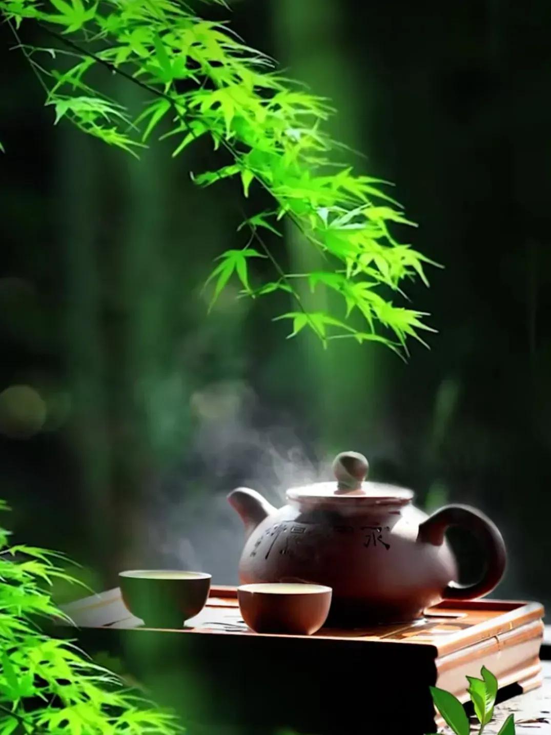 散文中的人生,散文欣赏人生