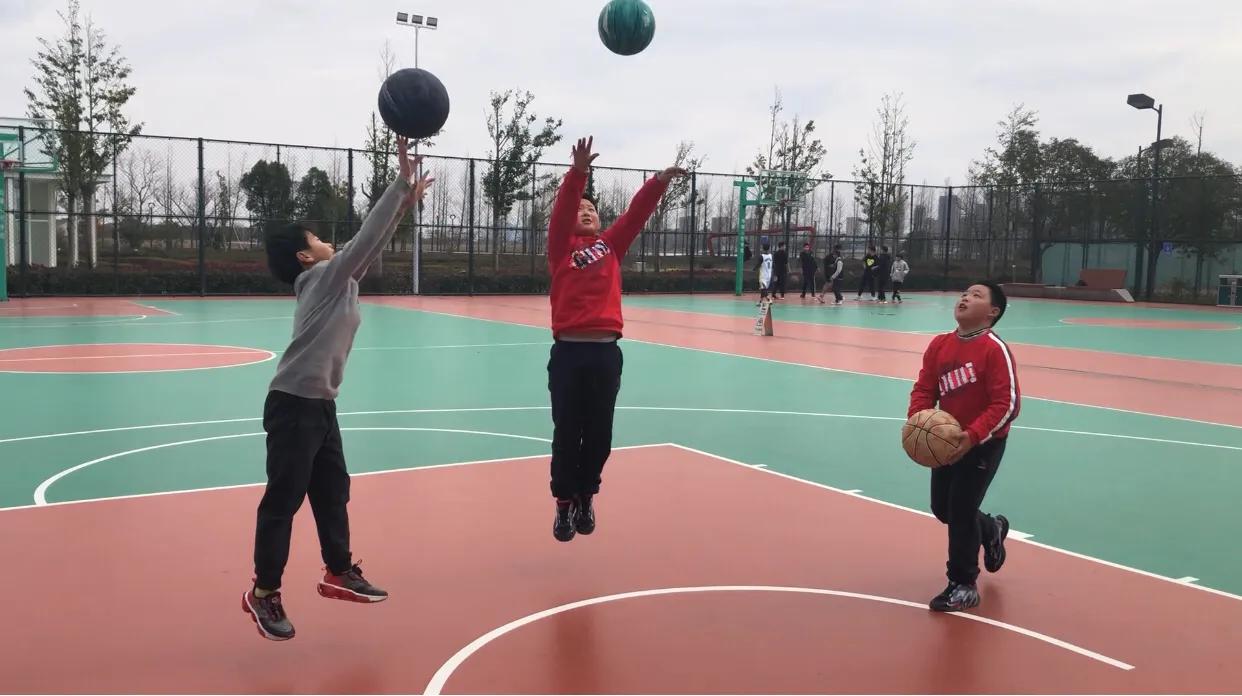 影响青少年身高的因素,影响身高体重的的主要因素