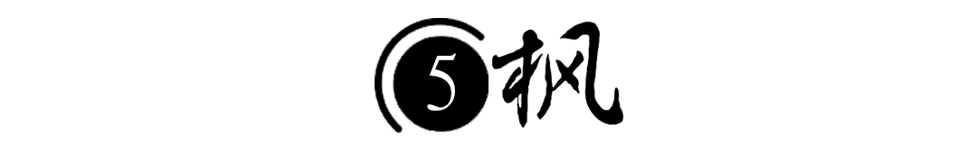 08年，河北女孩“瘫痪”卧床20年，姐姐安上监控后，戳穿多年*局骗**