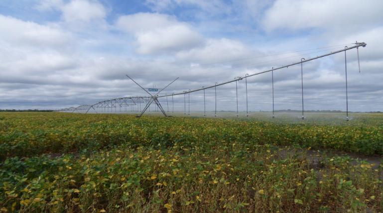 79年赞比亚购买12架歼6,称合同被烧拒付余款,中方反应再获大单