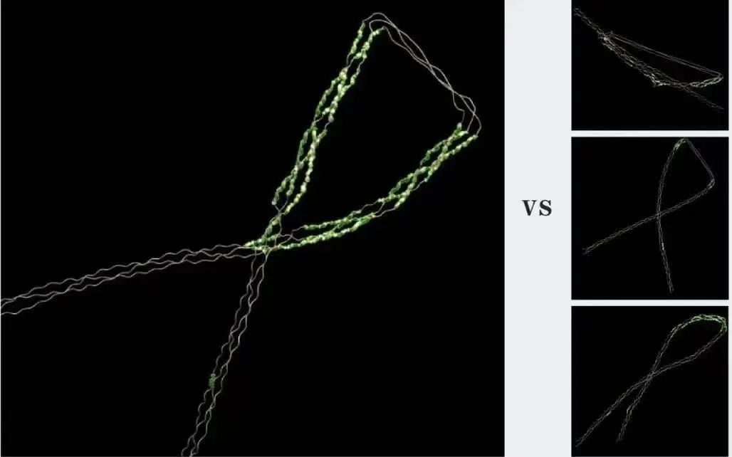 重组胶原蛋白的发展现状,重组胶原蛋白国内龙头企业