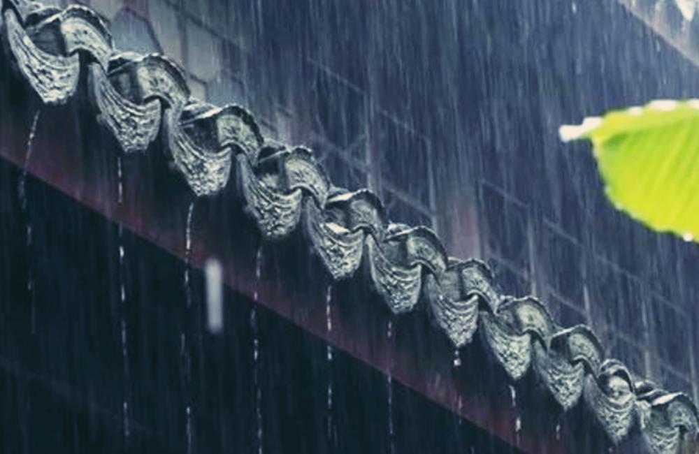 六月，滋养的相思吹奏琴箫声起的情缘更说