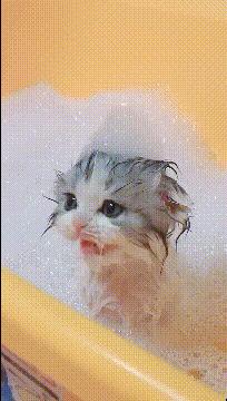 老婆包里发现的卡,老婆包里发现了啥