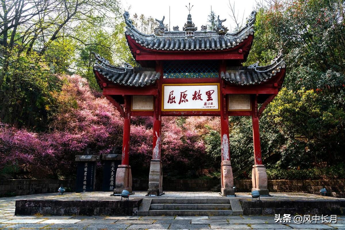 屈原为什么投江而死真正原因,屈原为什么要投江以身殉国