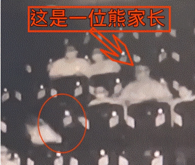 女子影院被熊孩子家长踢成脑震荡,影院被熊家长踹伤