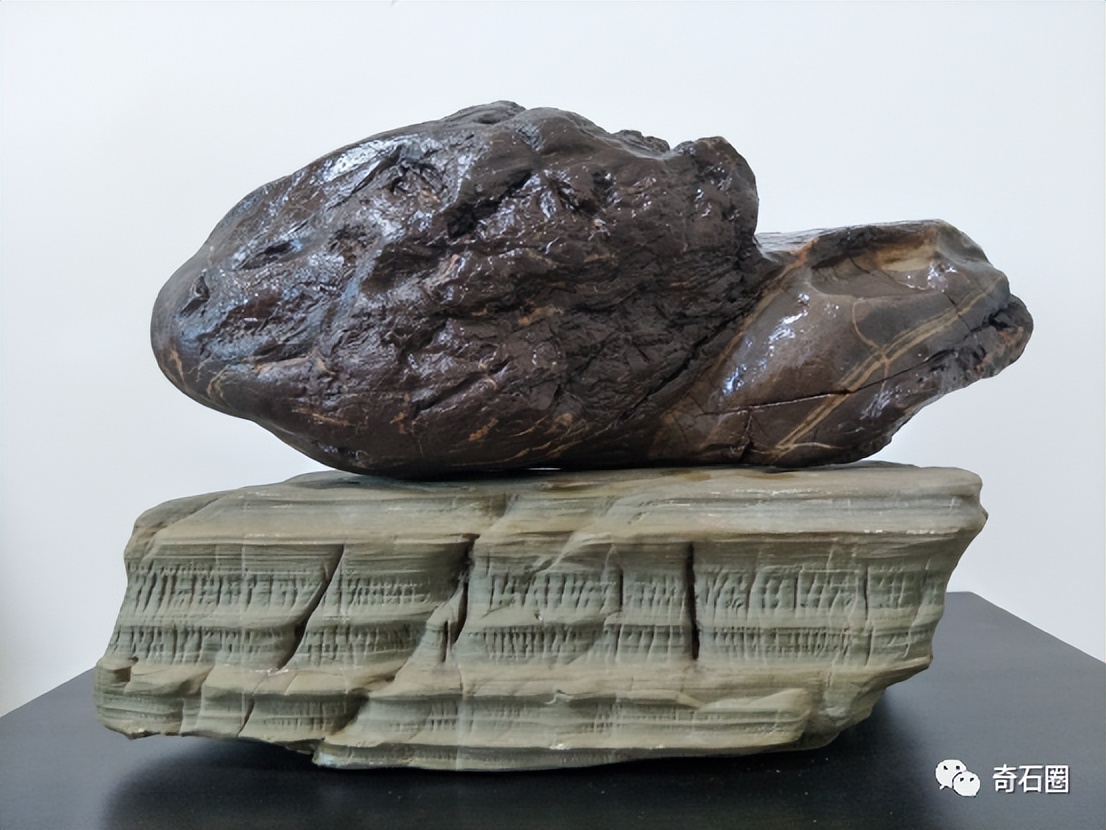 龟形奇石图片大全,获奖奇石龟图片大全