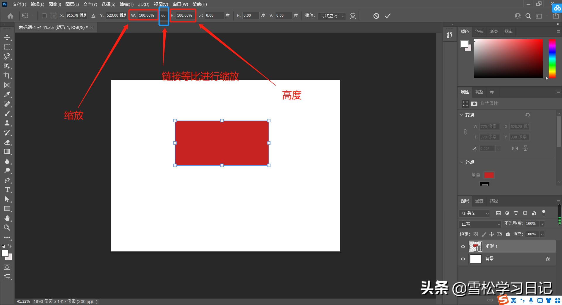 ps基础自由变换教程,ps自由变换的设置和使用方法