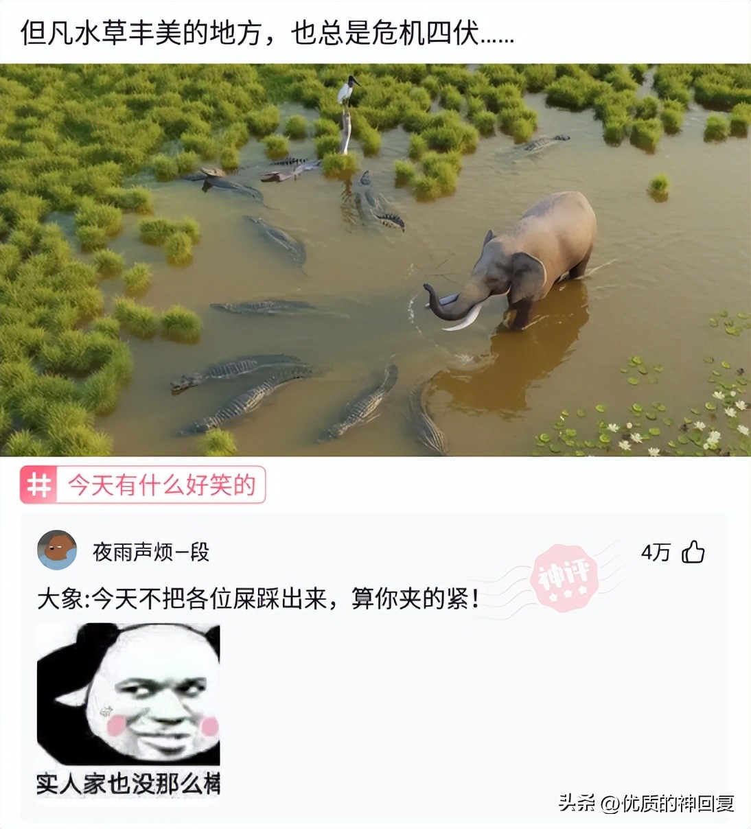 年轻时纹身老了变什么样,人老了纹身是啥样