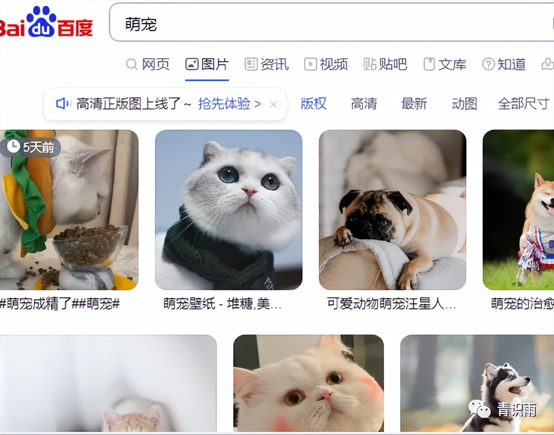 如何防范arp欺骗,arp欺骗攻击怎么解决