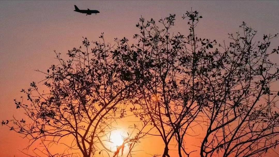 如何长时间学习,教你4个高效的学习方法19个技巧