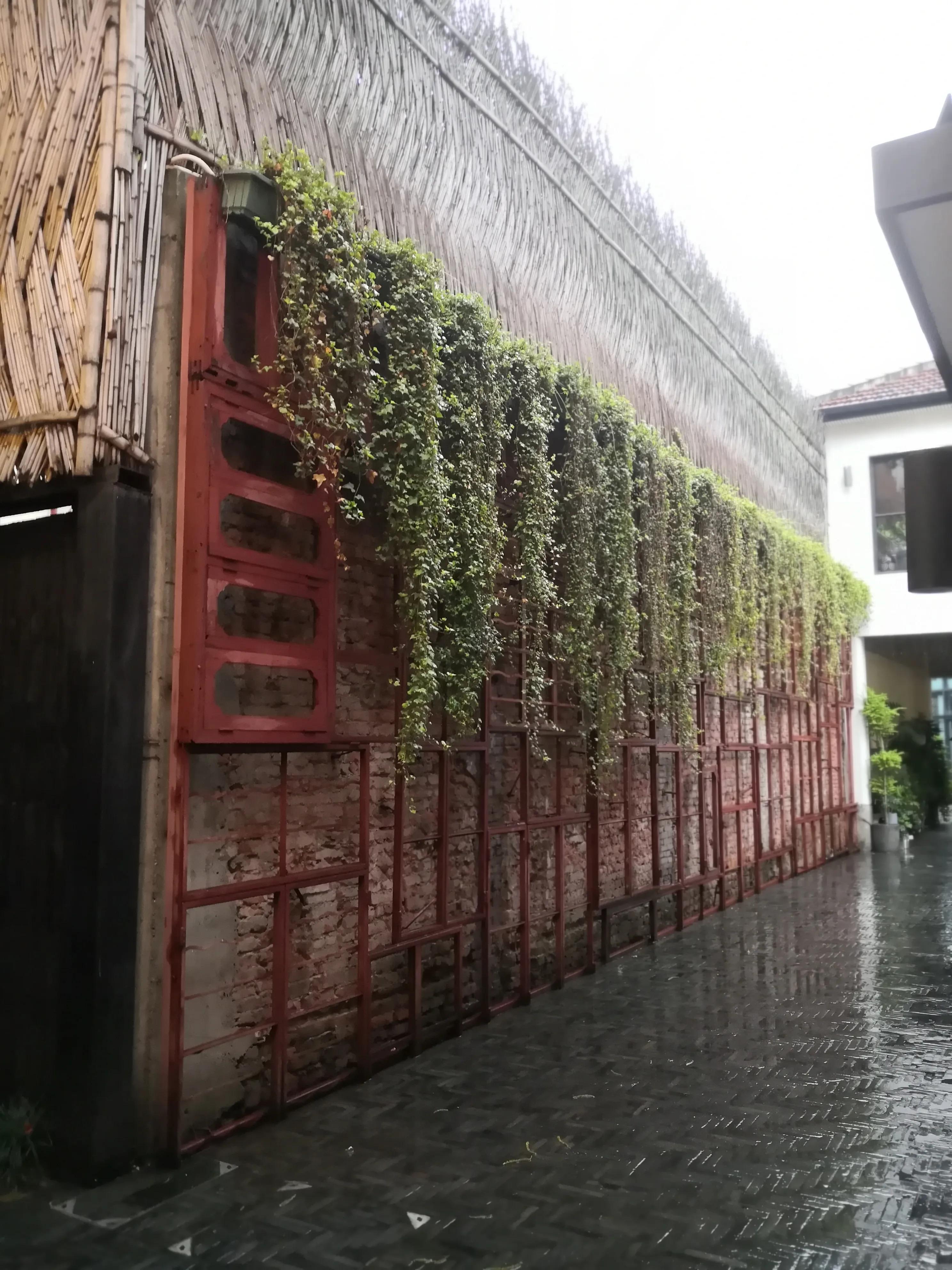 弄堂小吃、欧洲红酒，中西雅俗共赏