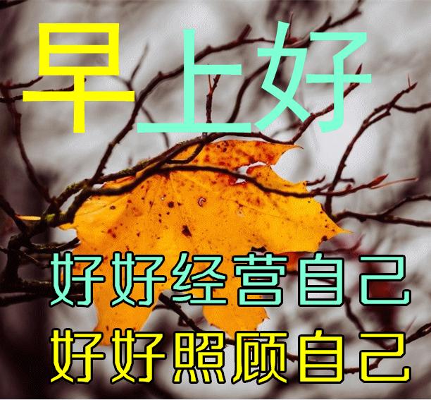 早安心语暖心句子正能量励志,早安心语正能量一句话简短图片