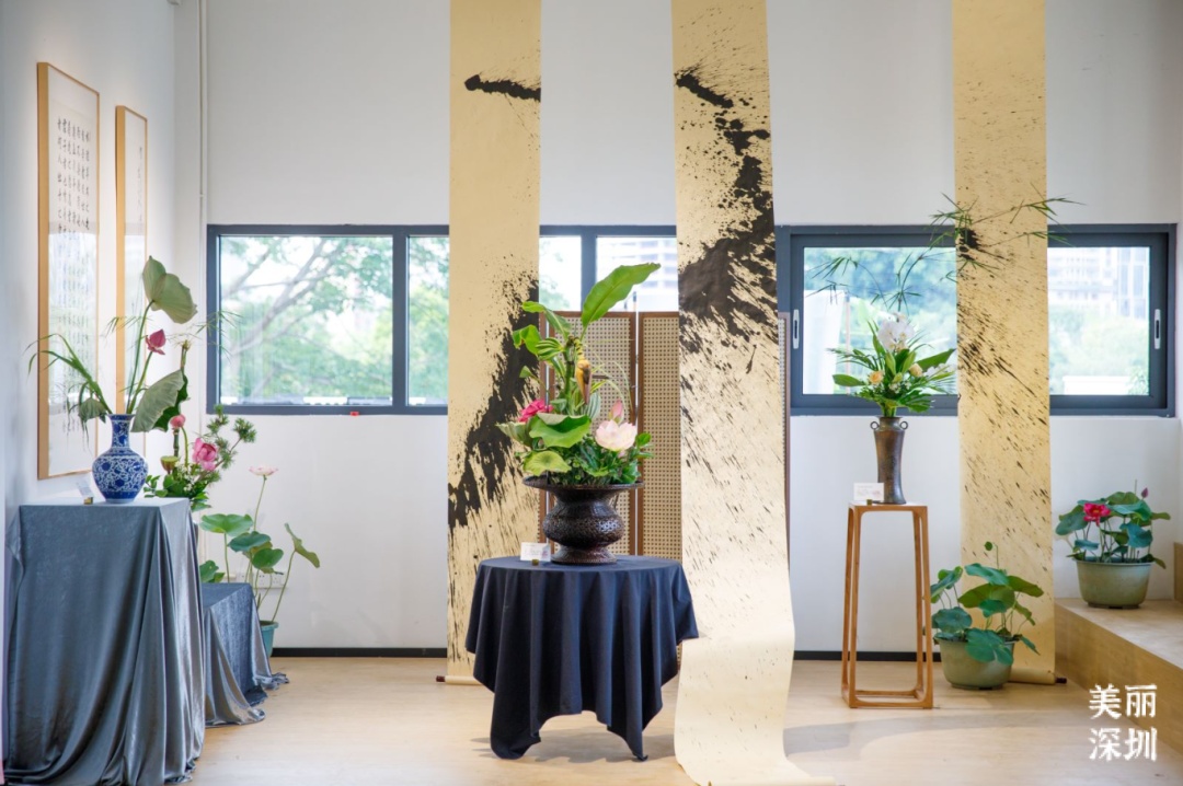 深圳人游玩推荐,深圳人爬山看海