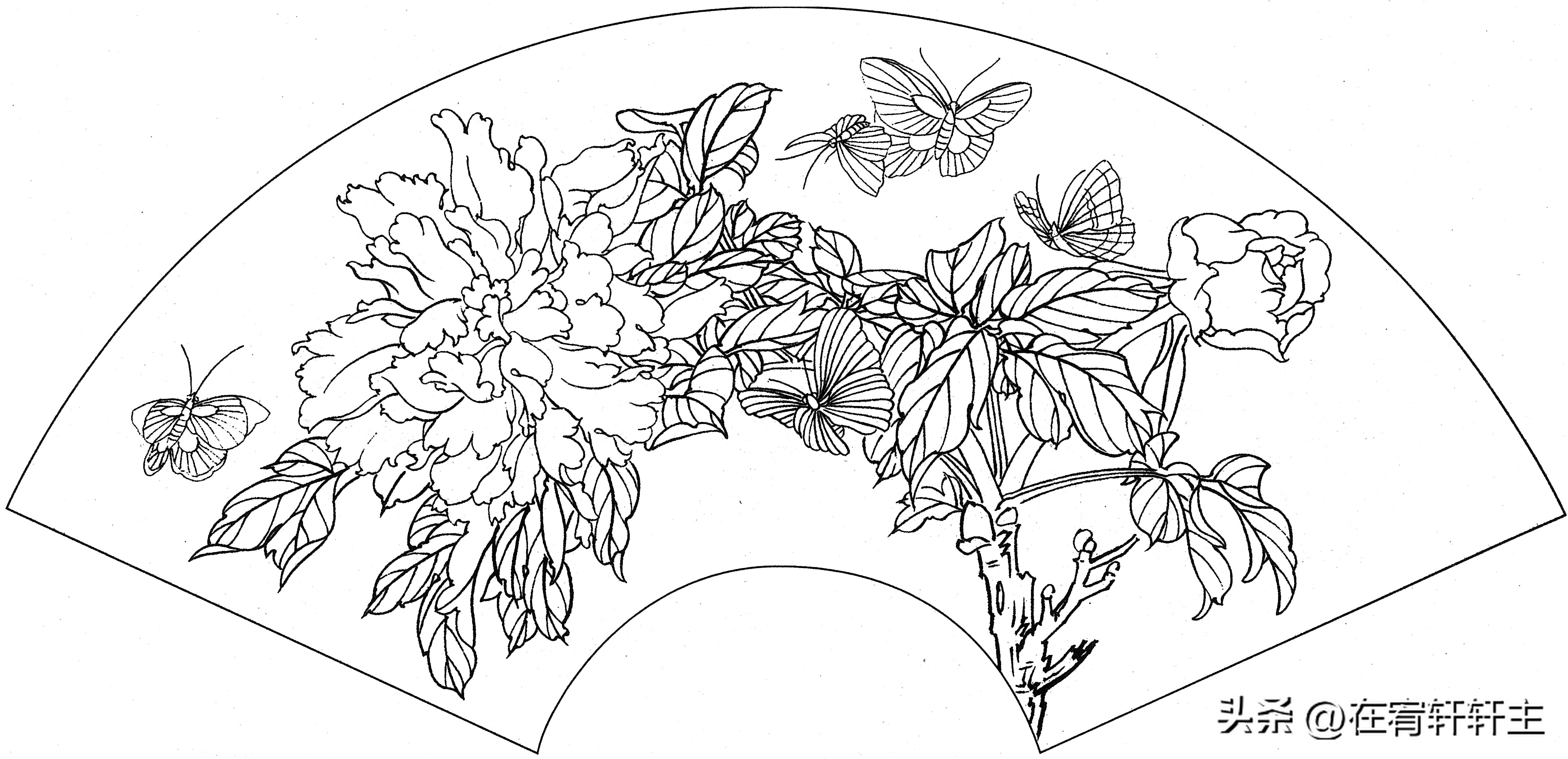 工笔白描祥云图案扇面,工笔扇面葡萄白描图片