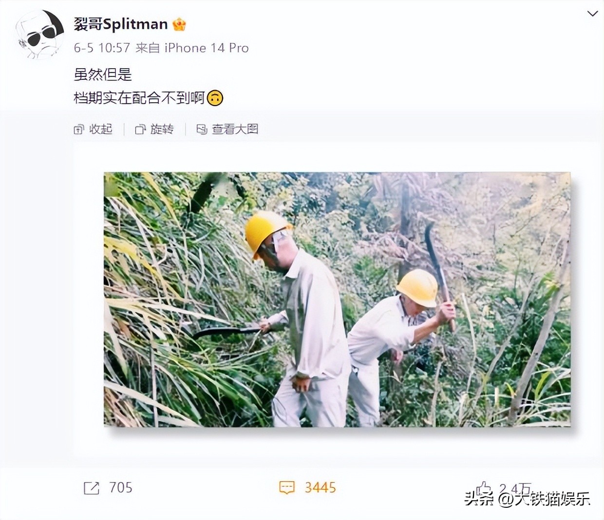 想上《披哥》而不成的5位男星，卑微喊话节目组，奈何导演不邀请