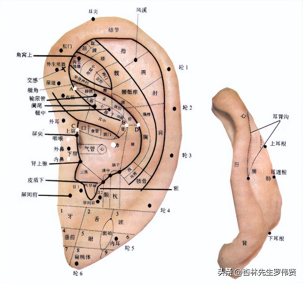 失眠最怕一个穴位,失眠最怕