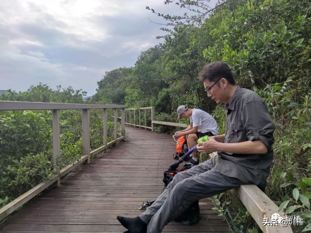 深圳远足径,深圳远足径徒步路线