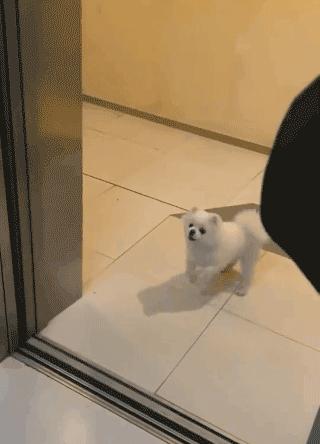 开心一刻一招制敌,开心一刻幽默语句