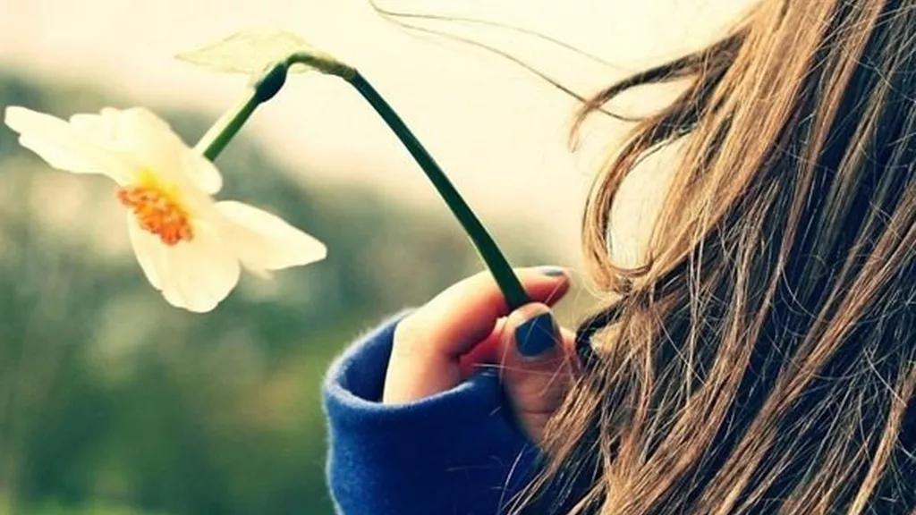 中国历史风流人物介绍,中国历史风流才子