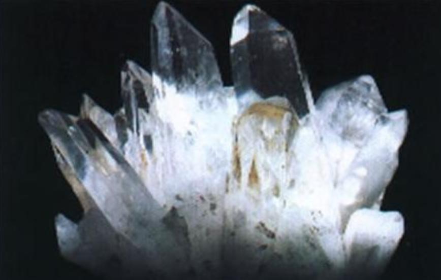 89年毛主席遗体防腐每年花费引质疑，徐静揭秘：天价护理费系谣传