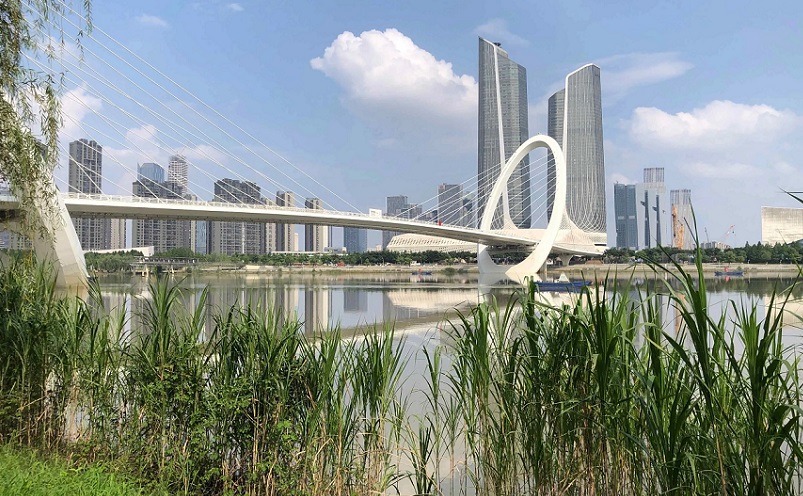 12月南京有哪些免费景点,南京市民免费旅游景点