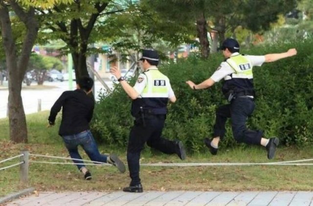 真实大象的照片,在野外拍到的真实大象