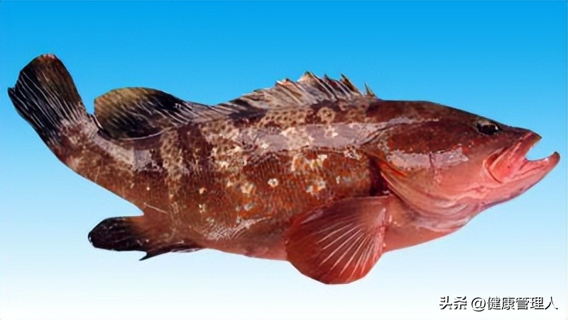 美容护肤食疗方案,美容护肤养生介绍