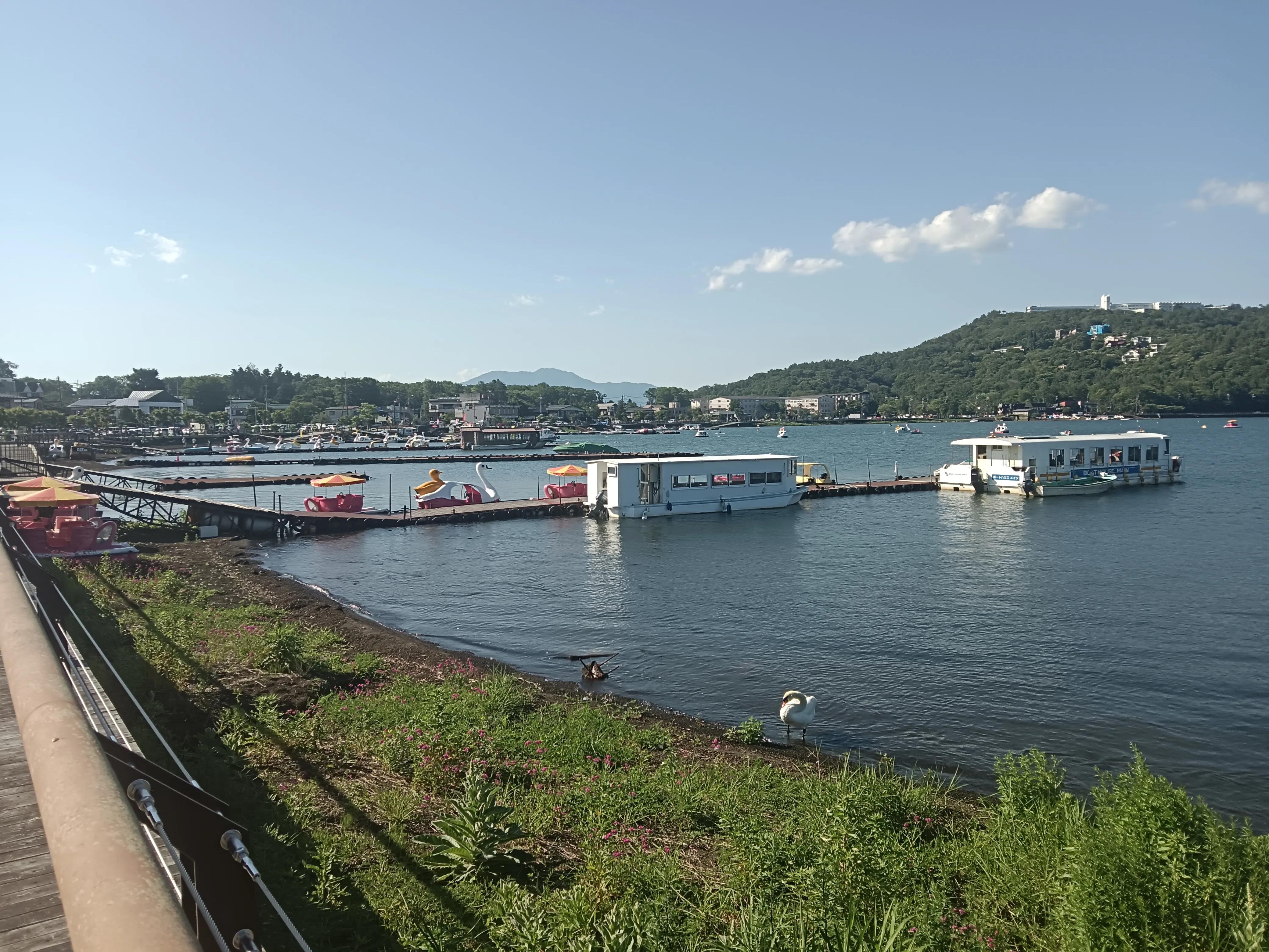 肖战日本之行完整版,日本之旅有几站