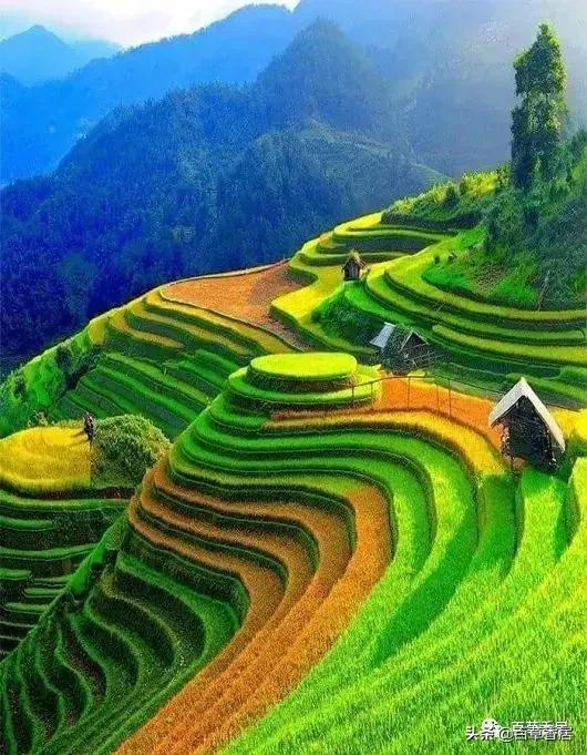 五月花朱志刚,五月花东星斑